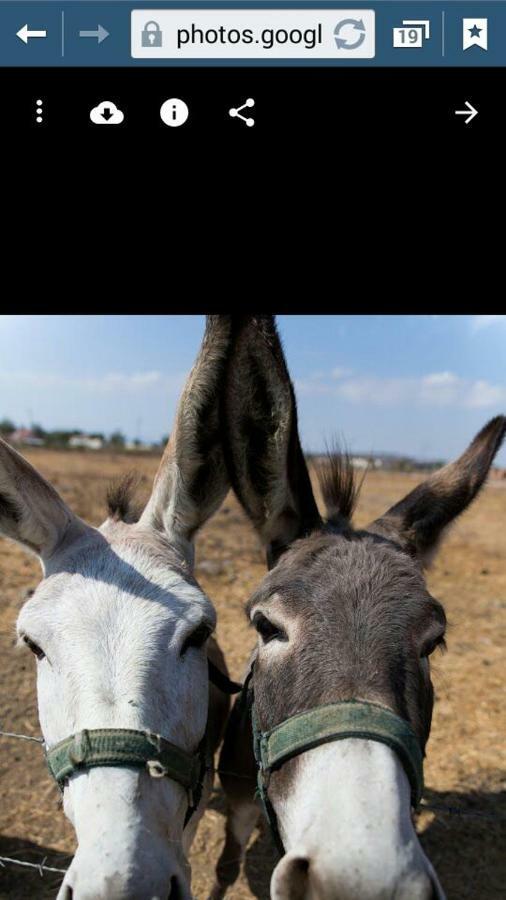 הוילה הבקתה באבני איתן מראה חיצוני תמונה